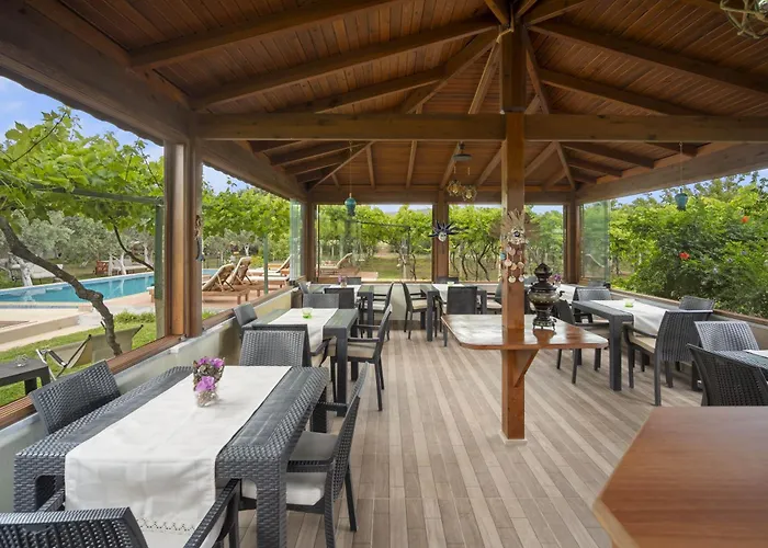 Grape Datca Kızlanköy