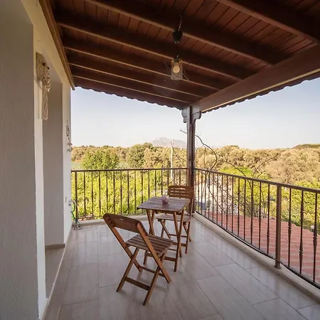 Grape Datca Kızlanköy