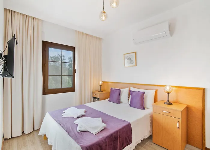 Grape Datca Kızlanköy