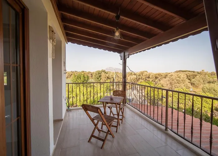 Grape Datca Kızlanköy