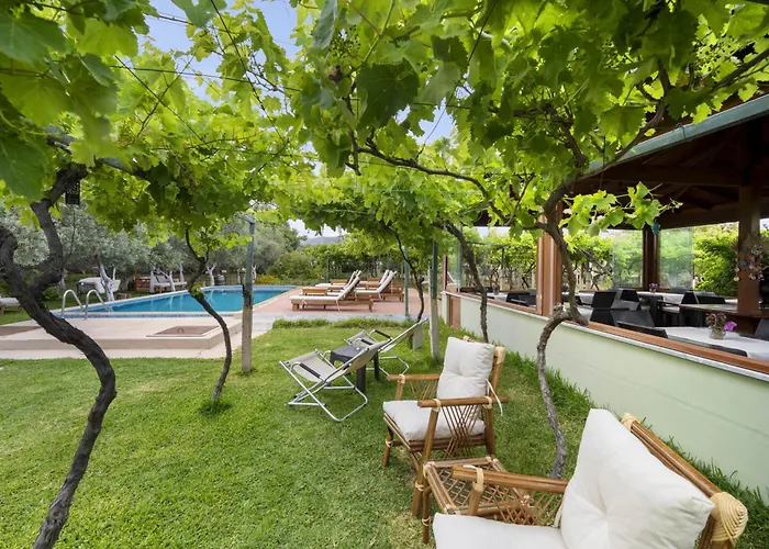 Grape Datca Kızlanköy